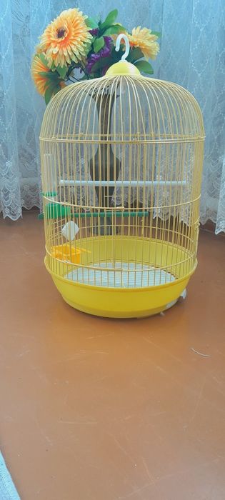 Клетка для попугаев