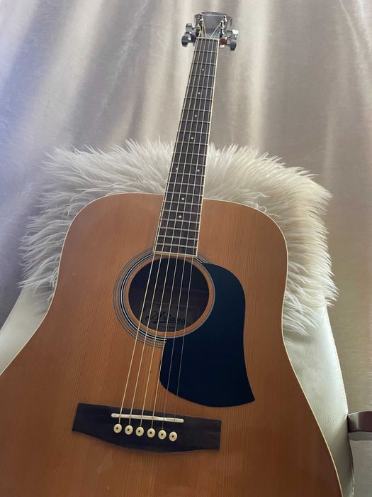 Chitara acustica 4/4 Ariana ( Aria ) AW-15 N