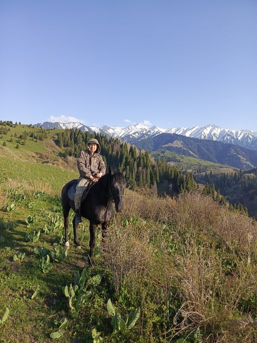 Темур жуманиязов