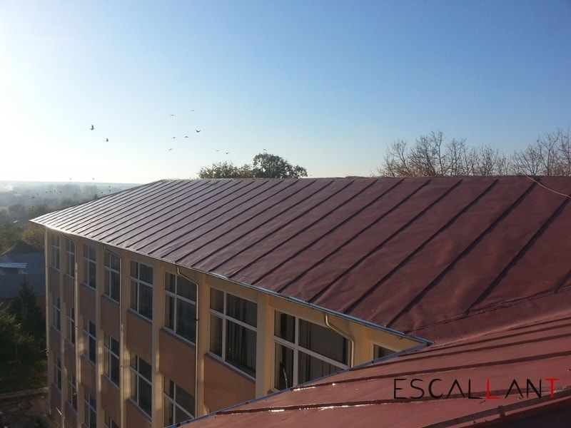 Reparatii burlane, jgheaburi, acoperisuri