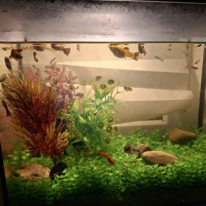 ГУПИИ  300 тг шт