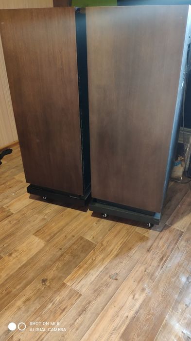 Акустика Diatone DS-90C