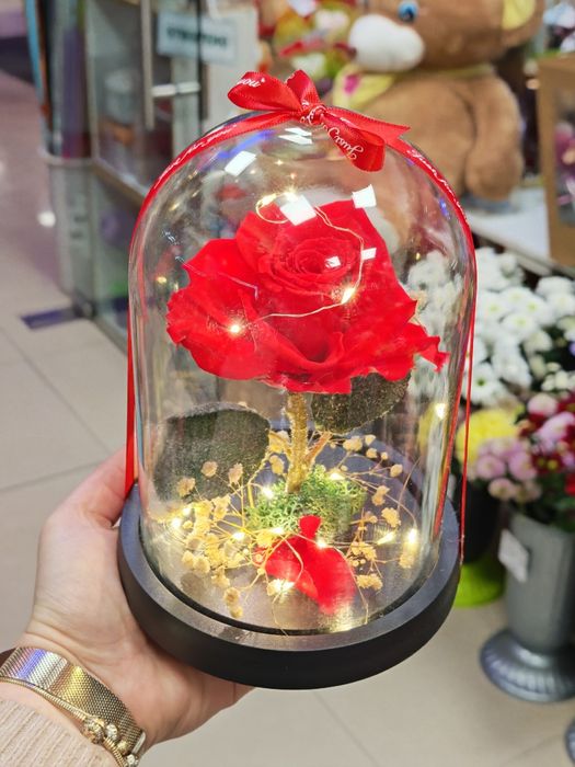 Вечна рози в стъкленица. Чудесен подарък за Свети Валентин и 8ми Март