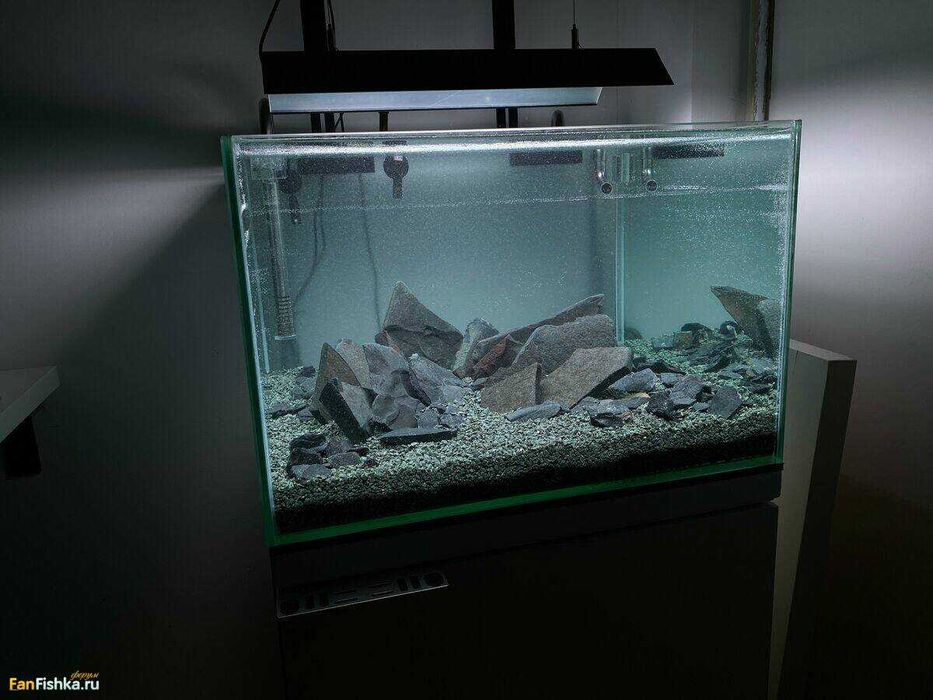 Аквариум ~100 литров