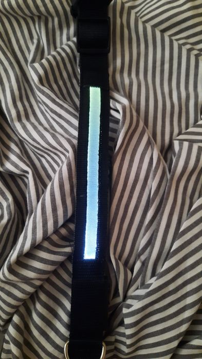 Кучешки светещи нашийници