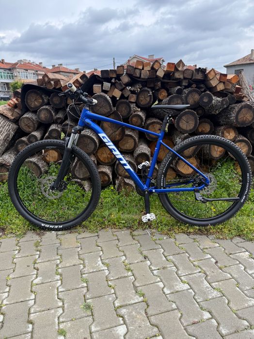 Giant Talon L”29”