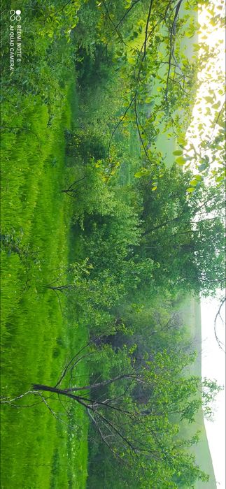 Ок тош Чимбойликда дачабоб жой