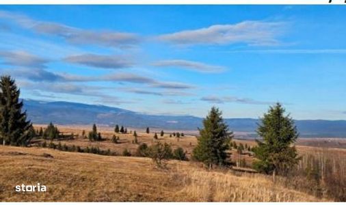 Cota 3/20 din teren extravilan- Judetul Harghita, loc. Gălăuțaș,
