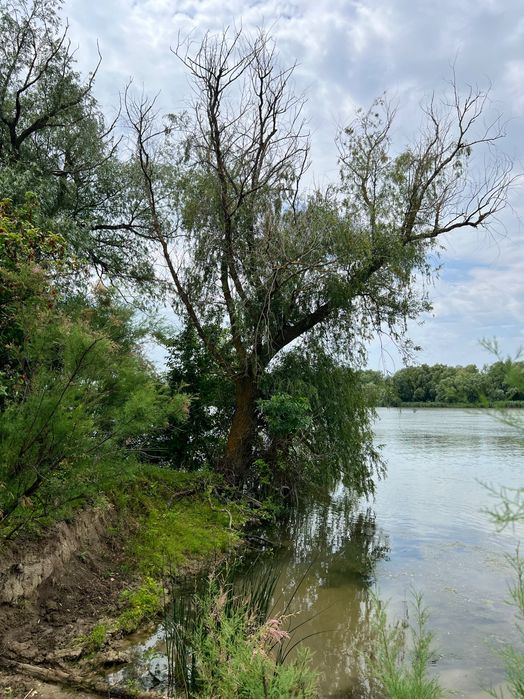 teren Delta Dunării cu deschidere la Dunăre - View 6