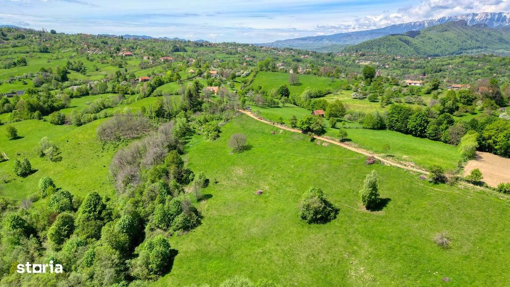 Teren extravilan 20.000 mp, zona Bran, vedere spre Munții Bucegi