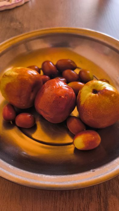 Дръвчета хинап и райска ябълка