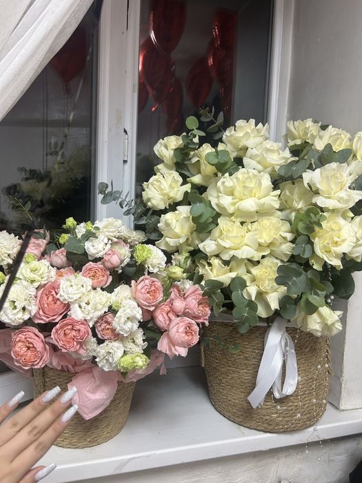 продам цветы по отделности либо вместе