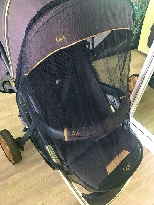 Коляска Quatro Capri Gold №18