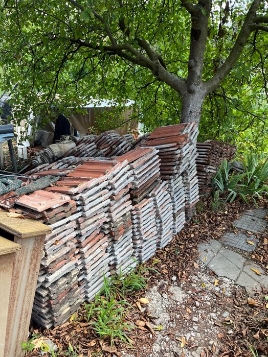 Здрави керемиди!