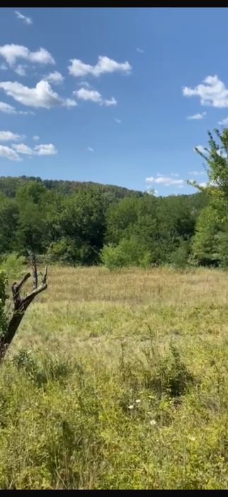 Teren Extravilan 22.565 mp – Ciomăgești, Argeș
