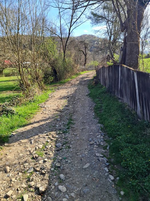 Proprietar vand casa+ teren 13000mp, Steia, Tomesti, jud. Hunedoara, 20km de Brad, 5km de Vata Bai