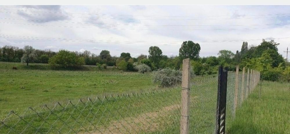 Teren intravilan Bucov