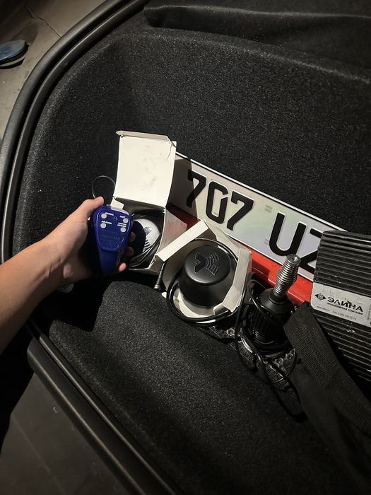 Элина-Американка Арендага