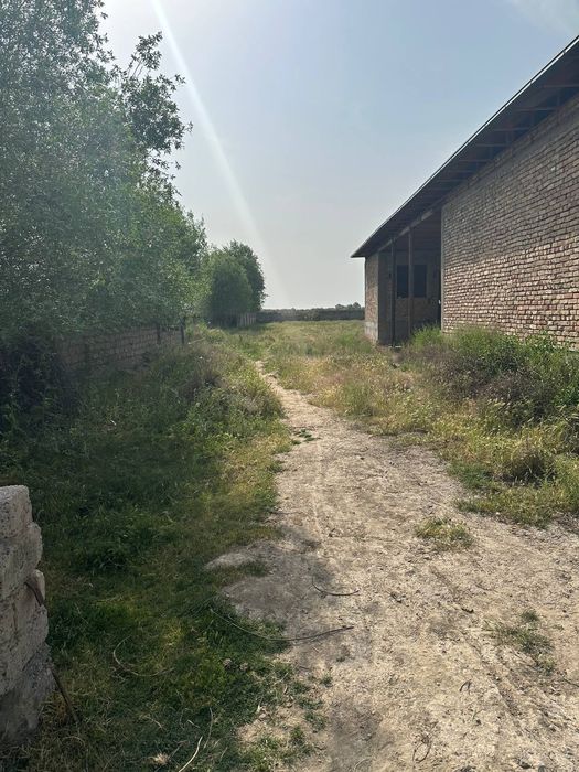 Курили туганланмаган учаска сотиоади 18 сотигли