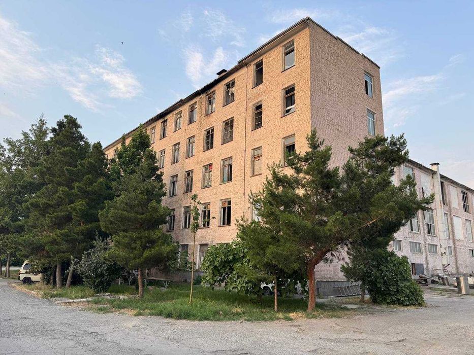 Сдаётся в аренду (Ижарага берилади) от 36 кв.м. до 1000 кв.м.