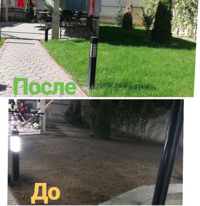 Газон автополив