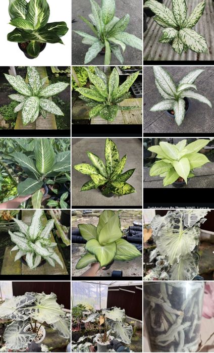 Приглашаю в группу