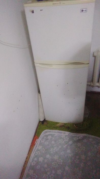 Холодильник рабочий