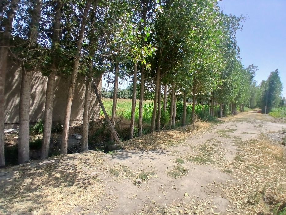 Yer sotiladi  srochniy