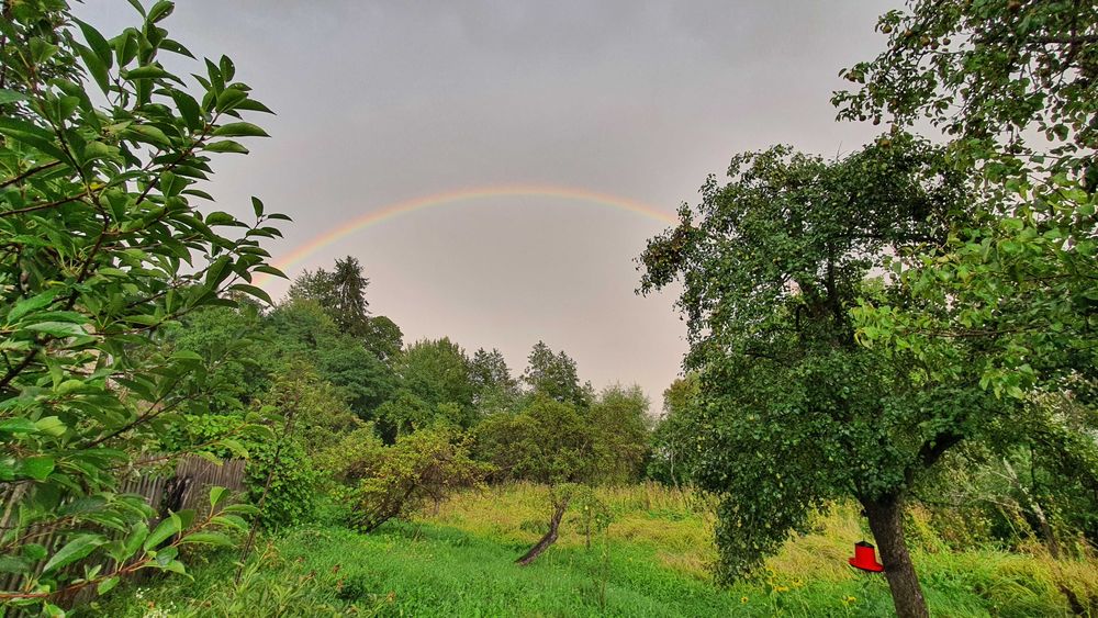 Proprietate 8.915 mp intravilan – Sat Galeș, Argeș