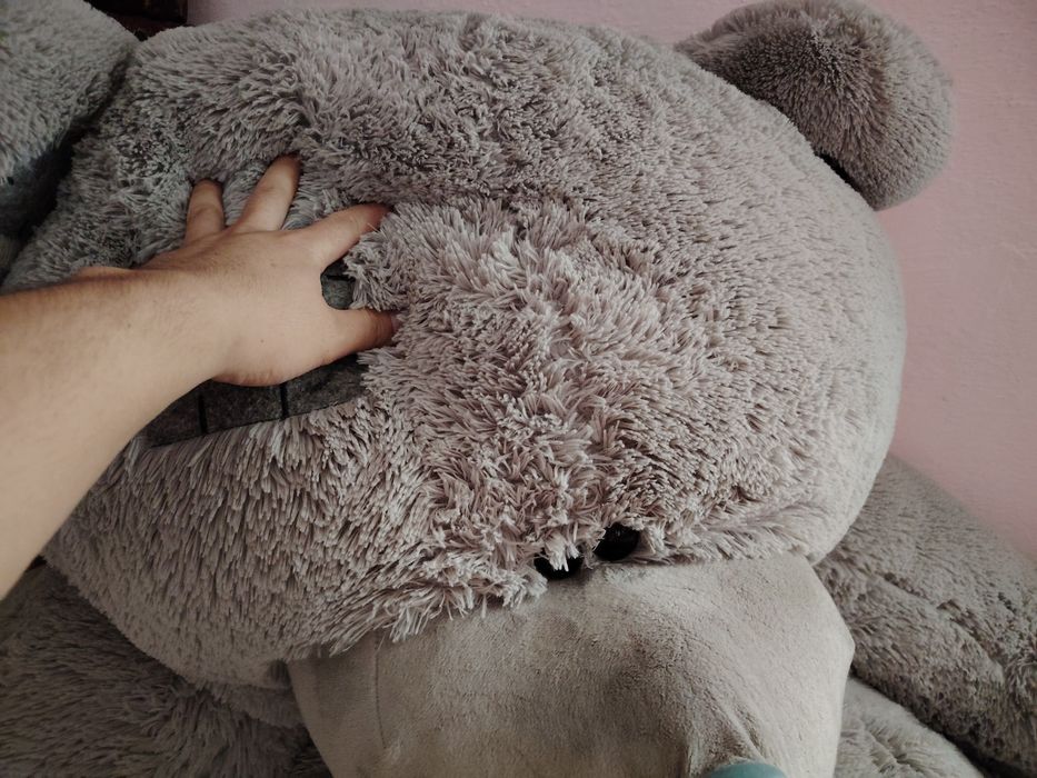 Teddiy ayiqchasi judayam katta