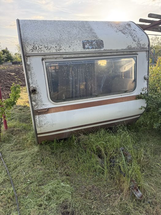 Rulota caravan wilk