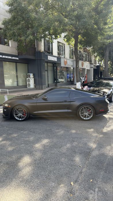 Ford Mustang (Shelby)