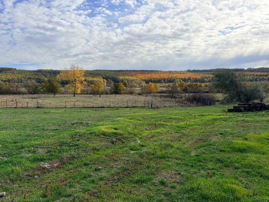 Timis, La 7km de A1 Asociere in locatie rurala multifunctionala