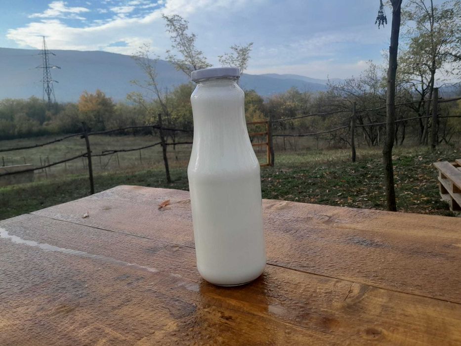 Lapte de magarita din Parscov, Buzau - Producator atestat