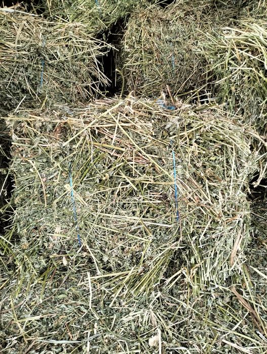 Baloti de lucerna si lucerna cu fin,iarba  și paie de grau