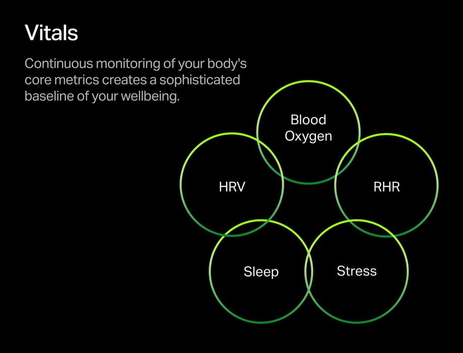 Vand Inel Smartring Fitness Cudis Model 002, Silver Wearable