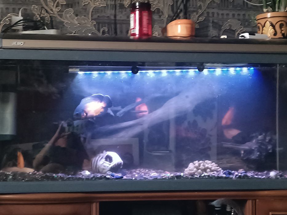 Аквариум  Jebo 300 литров