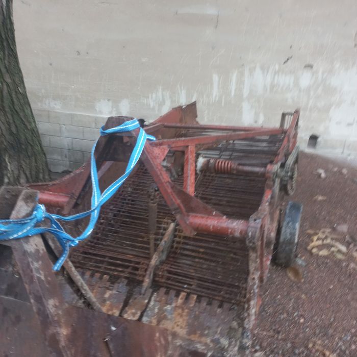 Kartoshka kólidigan sotiladi