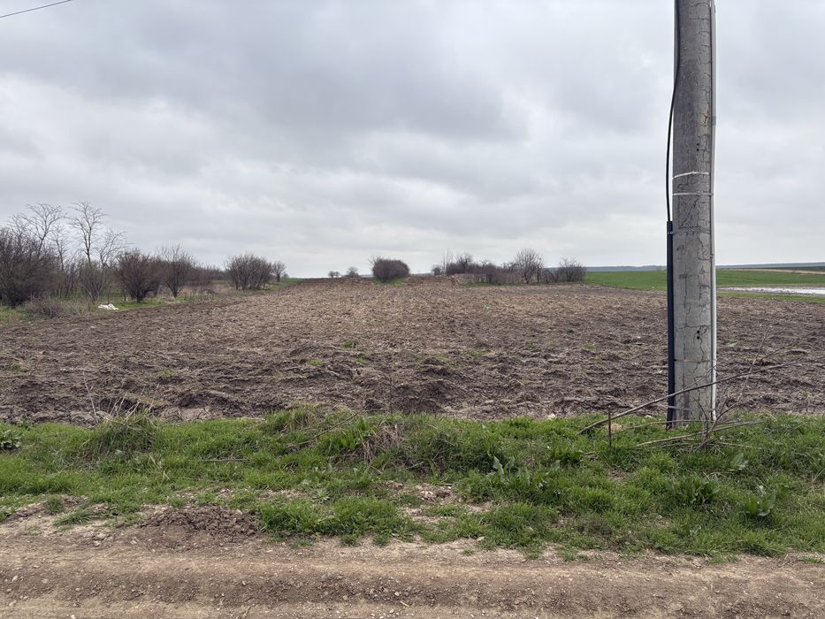 Teren intravilan 800 mp - Surlari, Petrăchioaia, Ilfov