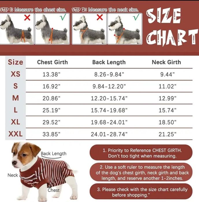 Body hăinuta recuperare medicală caini