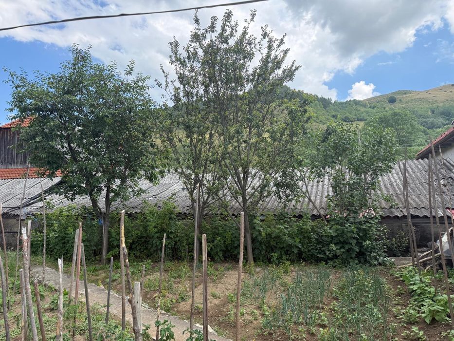 Vand casa in Morlaca jud Cluj