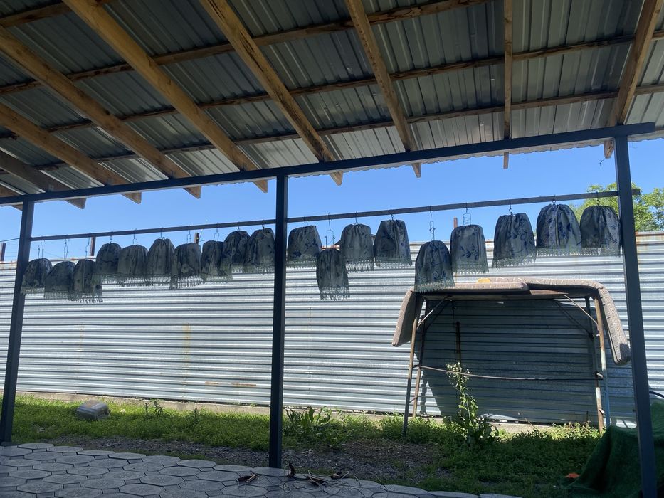 Продам поющие перепала бюдуна