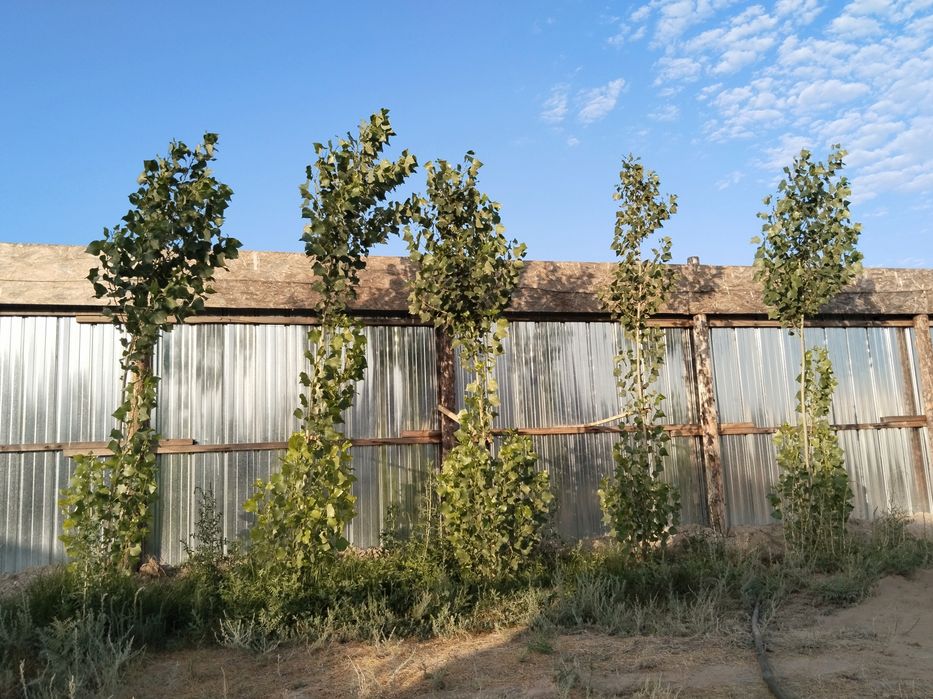 Дом рядом с  трассой