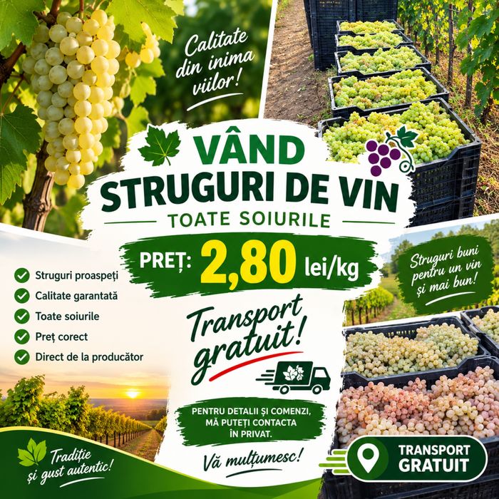 Struguri de vin