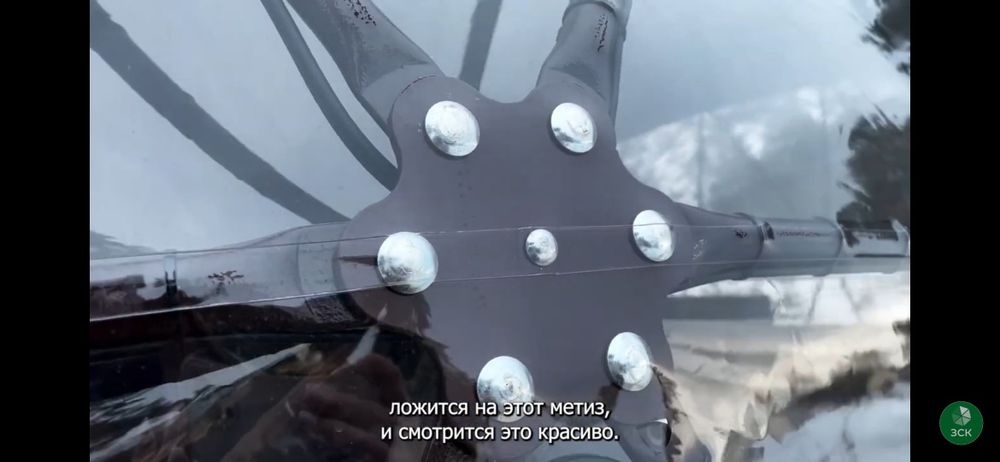 Купол шатёр Глемпинг