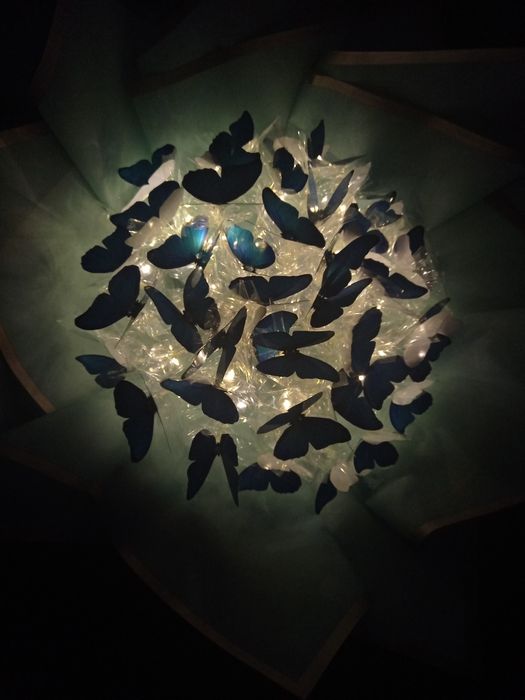 Букет с бабочками