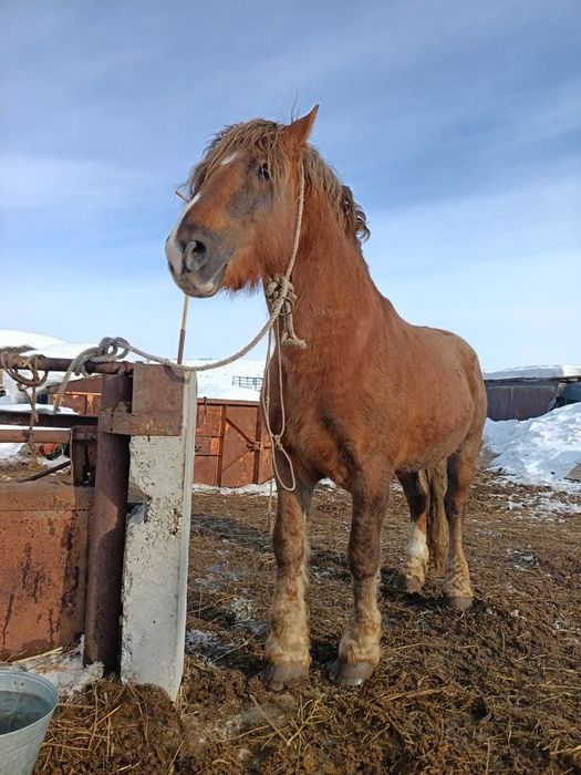 Советский тяжеловоз