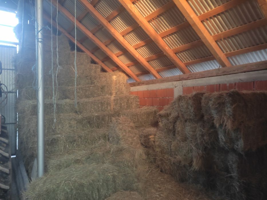 Vând baloți de fân