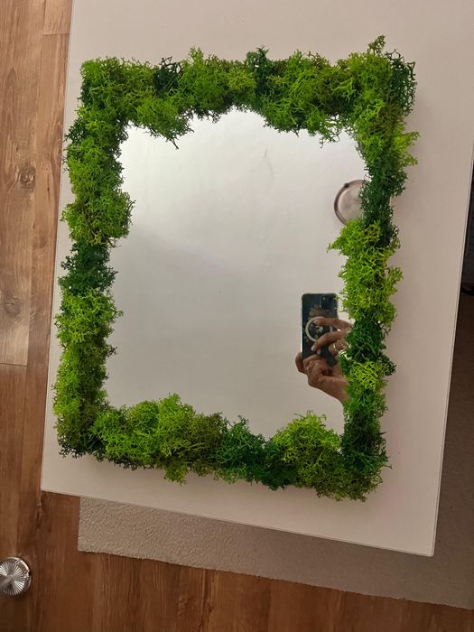 Oglinga cu led si lichieni