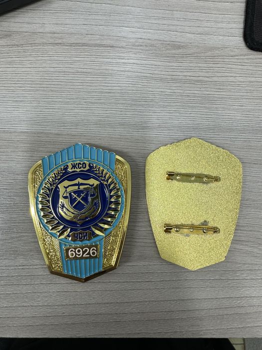 ЧСИ ЖСО медаль медал medal